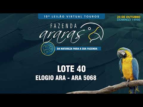 LOTE 40   ARA 5068