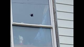 Full 7th and Cedar Search Warrant Stand Off Guide