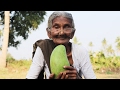 My 105 years Grandma's Raw Mango Dal || Mamidikaya Pappu || Country Foods