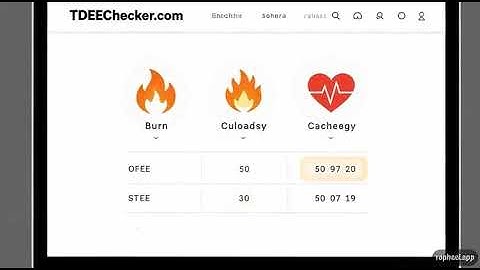 TDEE Calculator Find Your Daily Calorie Needs Instantly