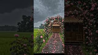 🌧️🌸 | Dreamy Nature Vibes #nature #rain #aesthetic #viralvideo #reels #naturelovers #monsoon