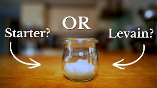 Sourdough Starter vs Levain: What’s the Difference?