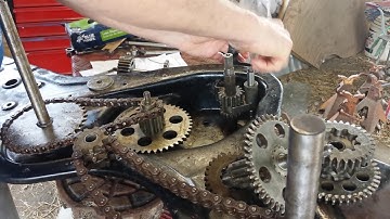 Cub Cadet RT 65 Tiller Transmission