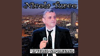 Video thumbnail of "Nicola Turco - 'o meglio amico"