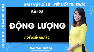 Vật lí 10 Bài 28: Động lượng - trang 110, 112 | Kết nối tri thức (DỄ HIỂU NHẤT)