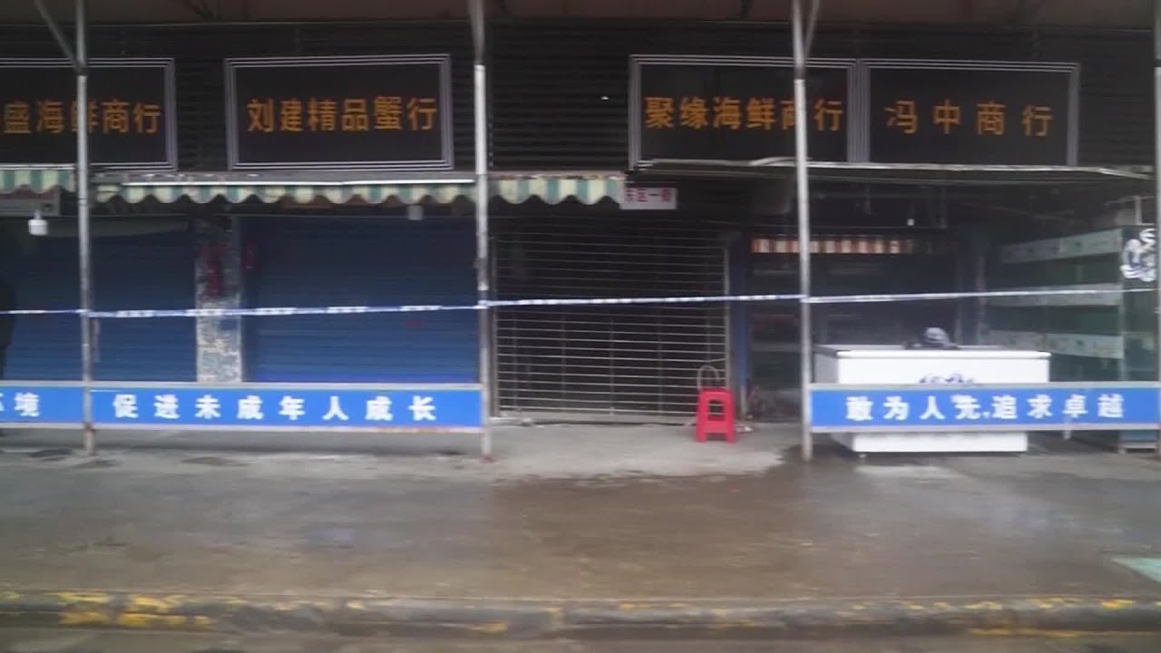 Deadly Chinese Coronavirus Impacting The US