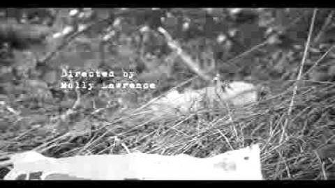 Missing - Student opening sequence