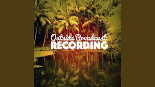 Bird Sound Serenity