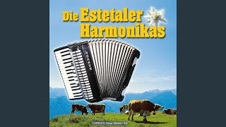 Video thumbnail of "Estetaler Harmonikas - Odenwald-Lied"