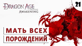 Dragon Age Origins (Пробуждение) Прохождение (#21) - Мать Всех Порождений