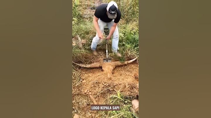 Logo Kepala Sapi Ini Identik Dengan Peternak Sapi Potong Di Indonesia