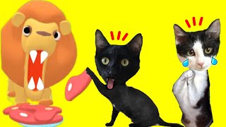 Gato roba comida en el simulador de Zoo Happy Animals en español / Videos de gatos Luna y Estrella