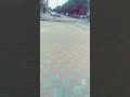 يامال الشام