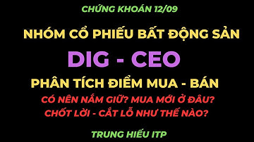 Phân tích cổ phiếu DIG CEO I Điểm Mua - Bán như thế nào I Trung Hiếu ITP