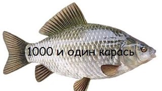 1000 и один карась