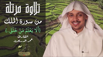 تلاوة مرتلة من سورة الملك ( ألا يعلم من خلق .. ) بصوت القارئ عمر الدريويز
