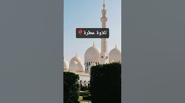 تلاوة عطرة من سورة هود @watazawadoo 🌹