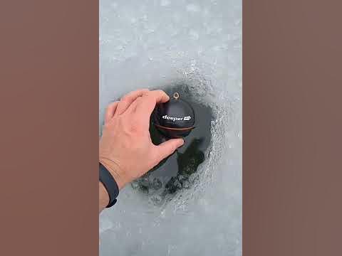 дипер про плюс в деле!!! #deeper #дипер #эхолот #рыбалка - YouTube