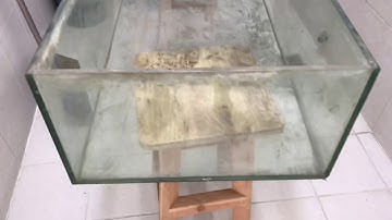 Biến hồ cũ thành hồ mới