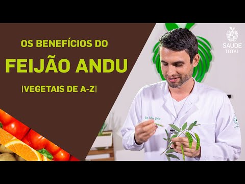 Vídeo: Crescimento da Vinha do Feijão Jacinto: Informações e Cuidados com a Planta do Feijão Jacinto