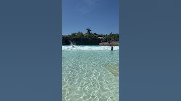 Typhoon Lagoon Wave Pool Is Back!