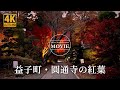 【4K】益子町 圓通寺の紅葉