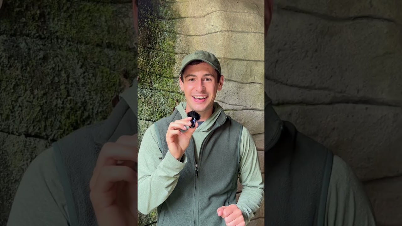 What are Glowworms and Where Can You Find Them in New Zealand?