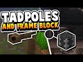 Minecraft 1.19 Has New Warden, Tadpoles & Frame Block???