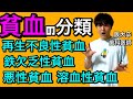 超絶よくわかる!!貧血の分類(赤血球疾患) 再生不良性貧血 鉄欠乏性貧血 悪性貧血 溶血性貧血【病理学】【臨床医学】【解剖生理学】