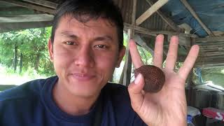 Download Lagu Naik BUS MEDAN-PEKANBARU lanjut ke Tembilahan MP3