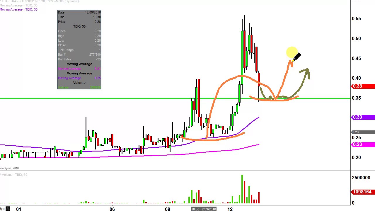 Tbio Stock Chart