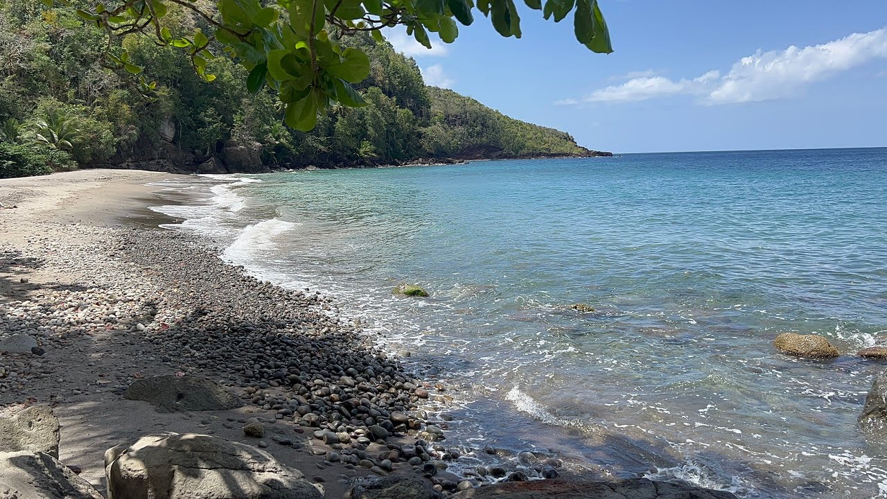 Anse Galet Beach in Anse La Raye St Lucia and watch the baby crabs on