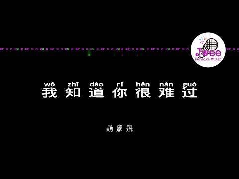 胡彦斌 《我知道你很难过》 Pinyin Lyrics 动态拼音歌词 4k