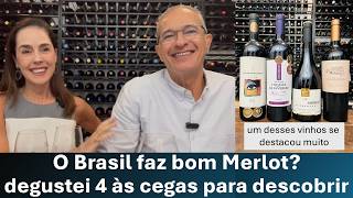 Merlot Brasileiro: vinhos que valem seu preço.