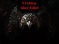 5 Fakten über Adler