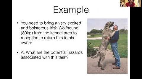 Manual handling video 2