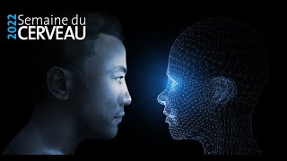 Intelligence artificielle vs. intelligence humaine