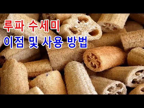 루파 <strong>수세미의</strong> 이점 및 사용 방법