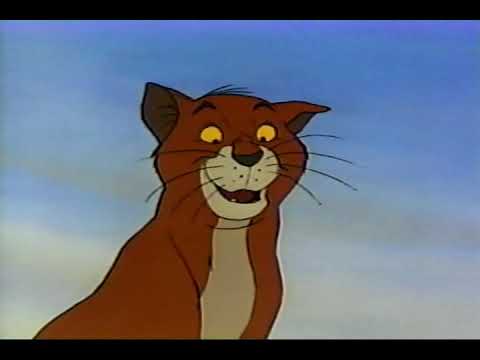 Opening To Aladdin And The King Of Thieves 1996 VHS (French Canadian Copy)