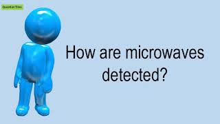 How Are Microwaves Detected? by SMART Christmas 1,405 views 4 years ago 42 seconds