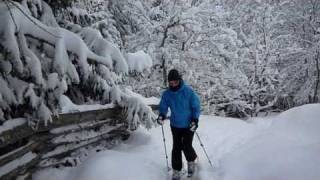 telemark ski 2011