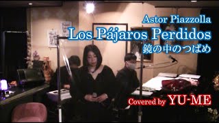 Los Pájaros Perdidos(鏡の中のつばめ)2021 Live ver. ／ Astor Piazzolla(Milva)　Covered by YU-ME