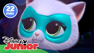 SUPERKITTIES: SuperKitties y sus canciones más divertidas ‍⬛ | Disney Junior Oficial