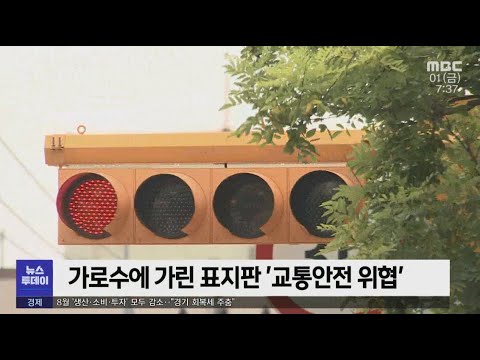 <strong>전국조사</strong> 시작된다 -R (211001금/뉴스투데이)