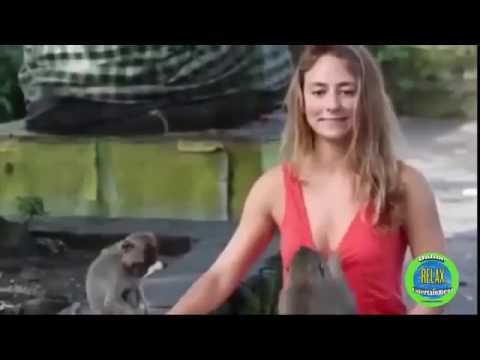Animals And Sexy Girls 2016 Animals And People Funny Video 2016 Animals And Sexy Girls 2016 Animals And People Funny Video 2016