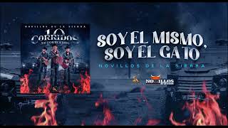 Novillos De La Sierra -  9.Soy El Mismo Soy El Gato  [Audio Oficial]