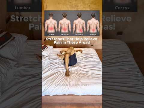 Low Back Pain & Si Joint Pain Stretches!! #backpain #physicaltherapysession