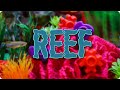 ГЕЙМПЛЕЙ #154 - Reef