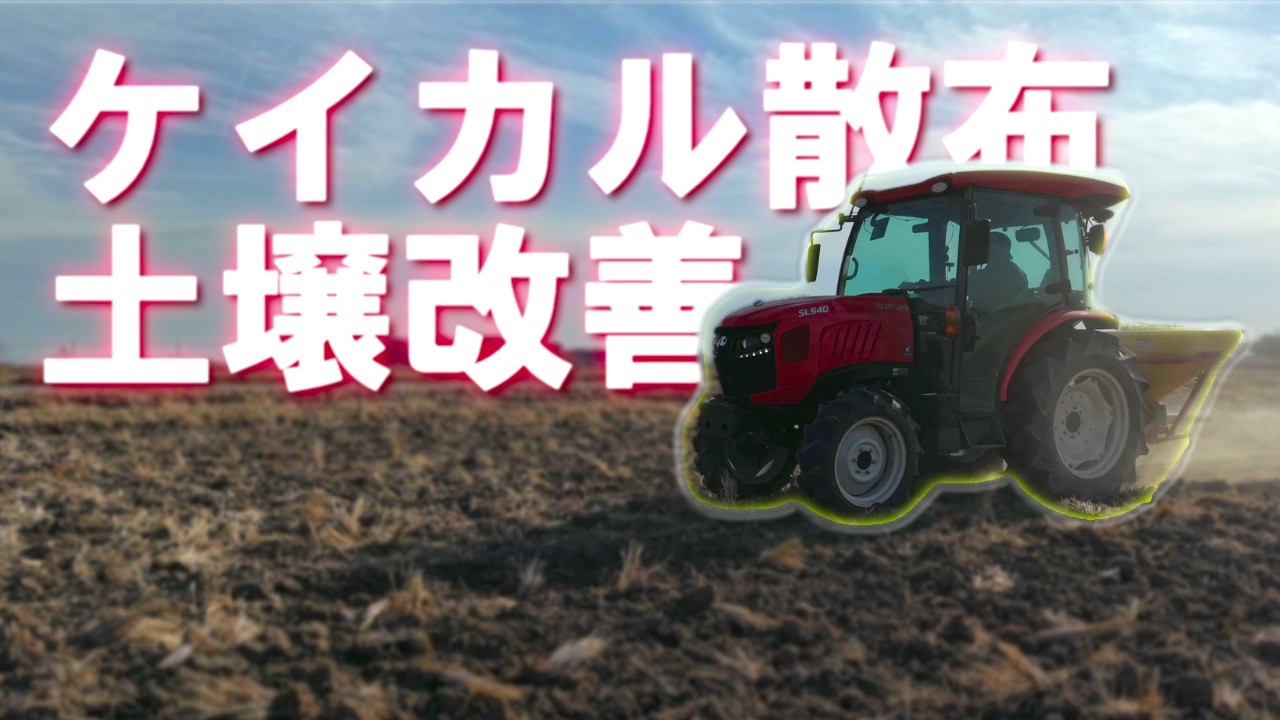 ケイカルを散布