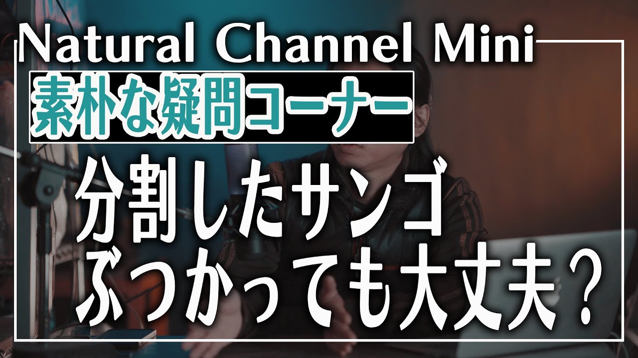 ナチュラルチャンネルミニ 分割したサンゴぶつかって大丈夫 Youtube